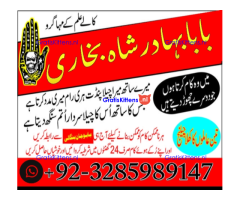 online amil baba in abbottabad | amil baba in multan | amil baba contact number |amil baba pakistan