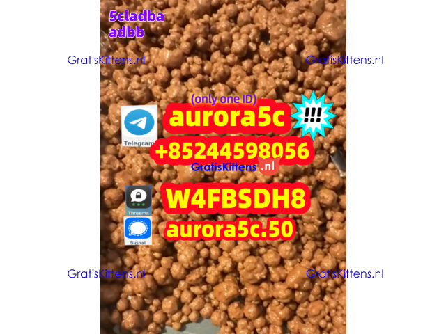 cannabinoid Buy 5cladba 5fadb 5CL precursor/Buy 6cladba raw material