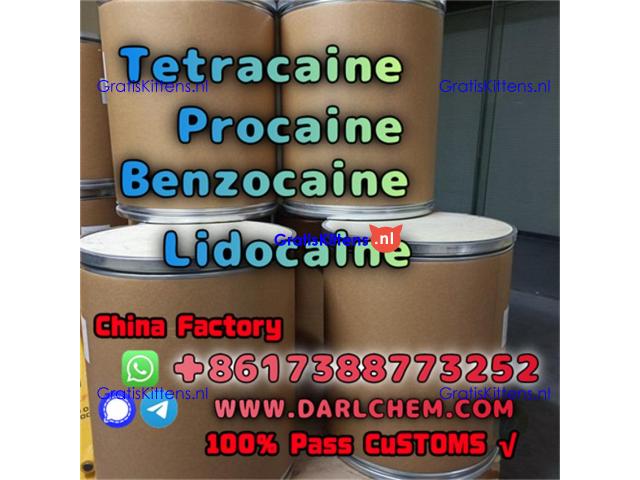 Lidocaine Benzocaine Procaine raw Powder 137-58-6 99.9% Stronger