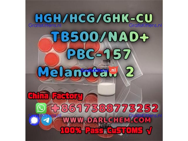 HGH 191AA BPC-157 TB-500 raw powder 12629-01-5 Factory