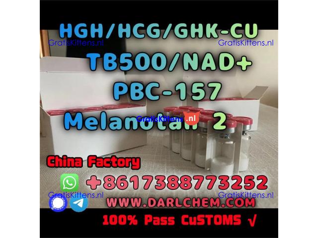 HGH 191AA BPC-157 TB-500 raw powder 12629-01-5 Factory