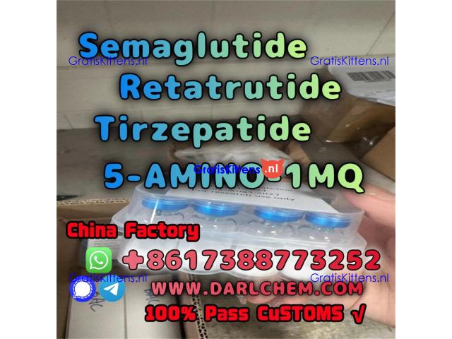 Semaglutide 5-AMINO-1MQ Retatrutide 910463-68-2  Hot Sale