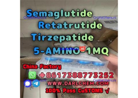 Semaglutide 5-AMINO-1MQ Retatrutide 910463-68-2  Hot Sale
