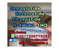 Semaglutide 5-AMINO-1MQ Retatrutide 910463-68-2  Hot Sale