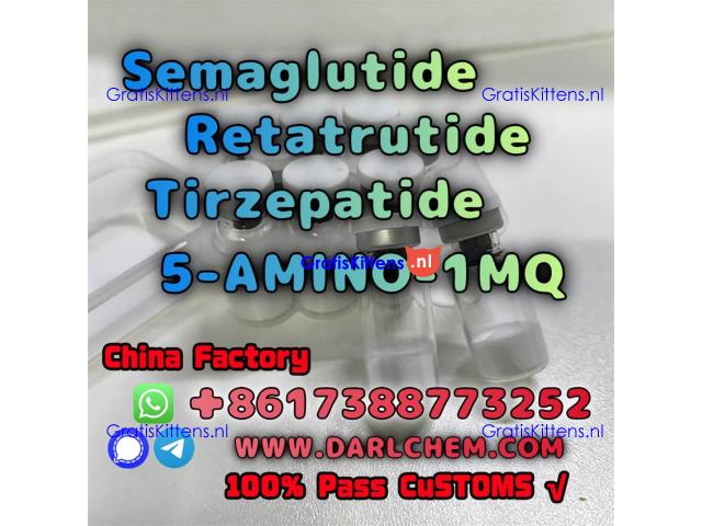 Semaglutide 5-AMINO-1MQ Retatrutide 910463-68-2  Hot Sale