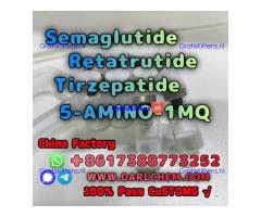 Semaglutide 5-AMINO-1MQ Retatrutide 910463-68-2  Hot Sale