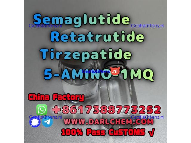 Semaglutide 5-AMINO-1MQ Retatrutide 910463-68-2  Hot Sale