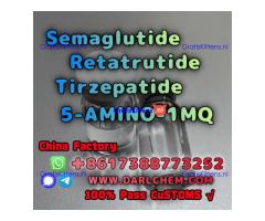 Semaglutide 5-AMINO-1MQ Retatrutide 910463-68-2  Hot Sale