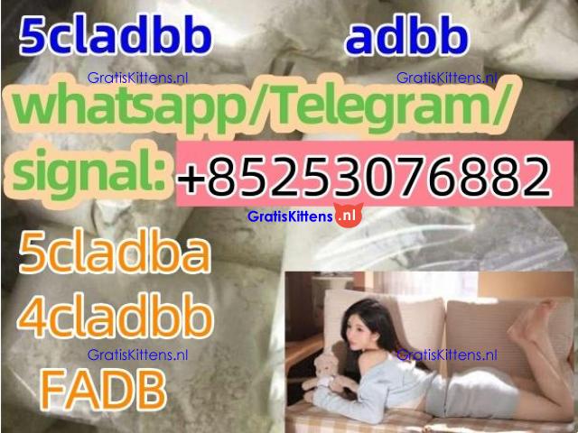 Strong Original 5cl-adbb 6cladbb jwh-018 sgt151 sgt78