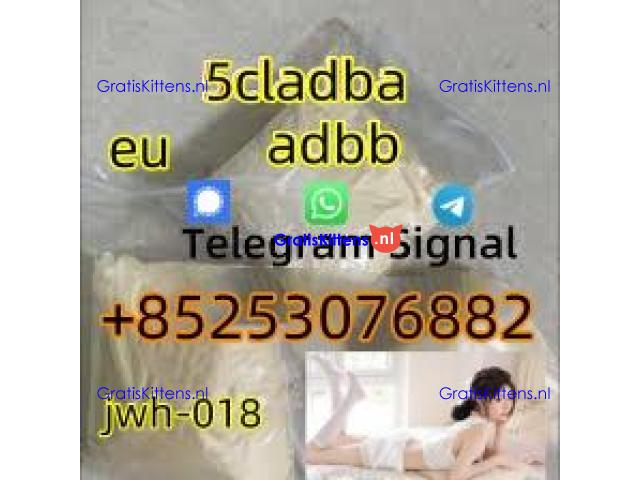 Strongest 5cl-adbb 4fadb raw 5cladba sgt151 sgt78 jwh018 apvp appp