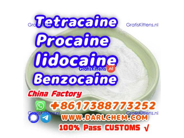 Lidocaine Benzocaine Procaine raw Powder 137-58-6 Wholesale Price