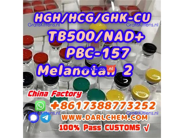HGH 191AA BPC-157 TB-500 raw powder 12629-01-5 Hot Sale