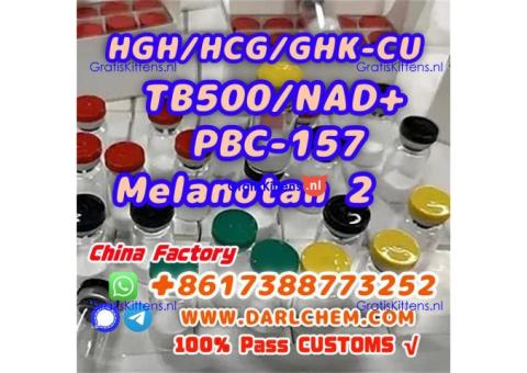 HGH 191AA BPC-157 TB-500 raw powder 12629-01-5 Hot Sale
