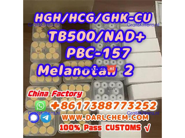 HGH 191AA BPC-157 TB-500 raw powder 12629-01-5 Hot Sale