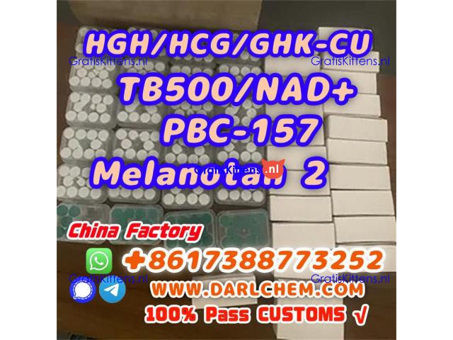 HGH 191AA BPC-157 TB-500 raw powder 12629-01-5 Hot Sale