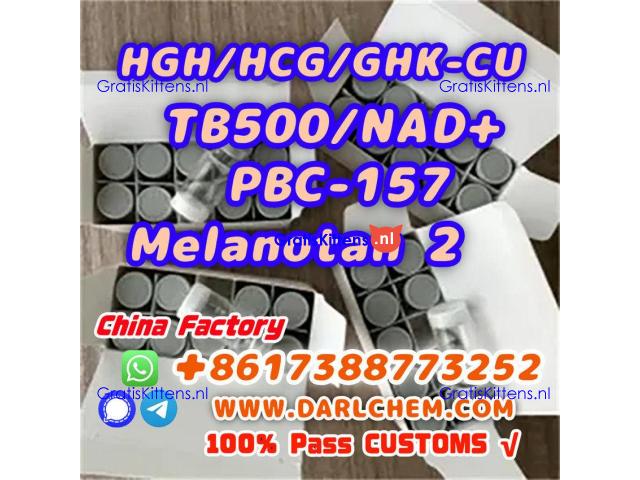 HGH 191AA BPC-157 TB-500 raw powder 12629-01-5 Hot Sale