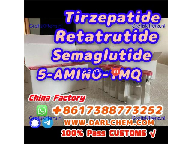 Semaglutide 5-AMINO-1MQ Retatrutide 910463-68-2 Factory Price