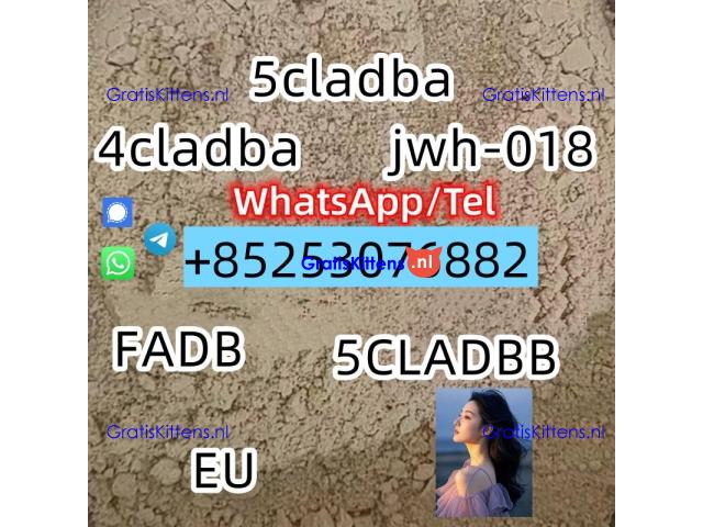 Strong Effect 5CLadbb/ADBA 4cladb 4fadba 5cl-mdma 2cl 6cl-adbb sgt