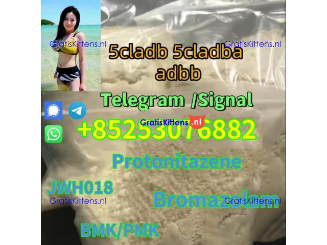 5cladba 5cl-adb 5-cl-adb-a adbb 4cl-adb 4fadba sgt151 sgt78 jwh01 8 eu