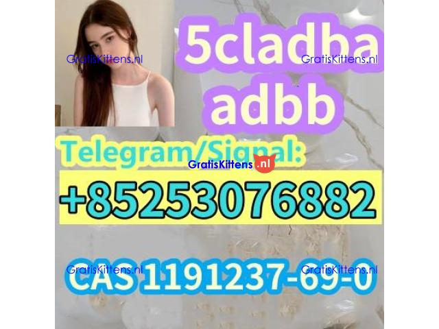 5cladba 5cl-adb 5-cl-adb-a adbb 4cl-adb 4fadba sgt151 sgt78 jwh01 8 eu