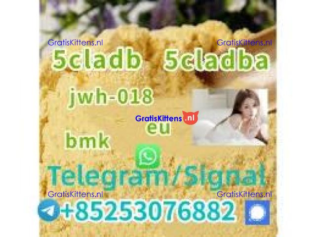 5cladba 5cl-adb 5-cl-adb-a adbb 4cl-adb 4fadba sgt151 sgt78 jwh01 8 eu