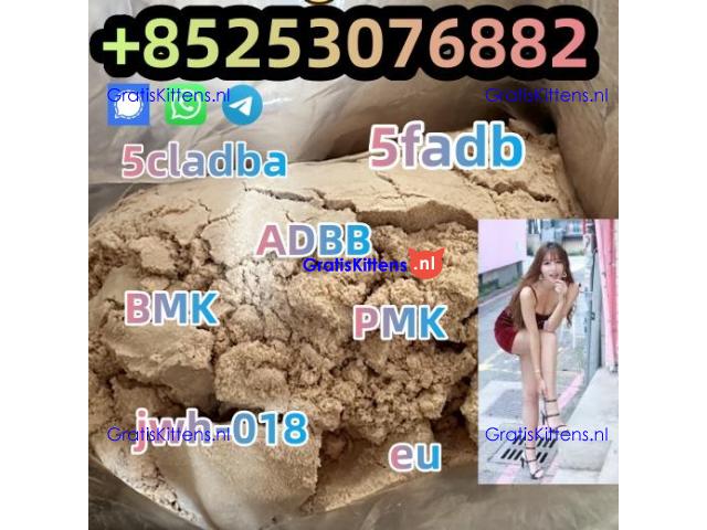 High quality 5CL-ADB powder supplier 5cl adb 5cladba 5cl 2cladb BMK