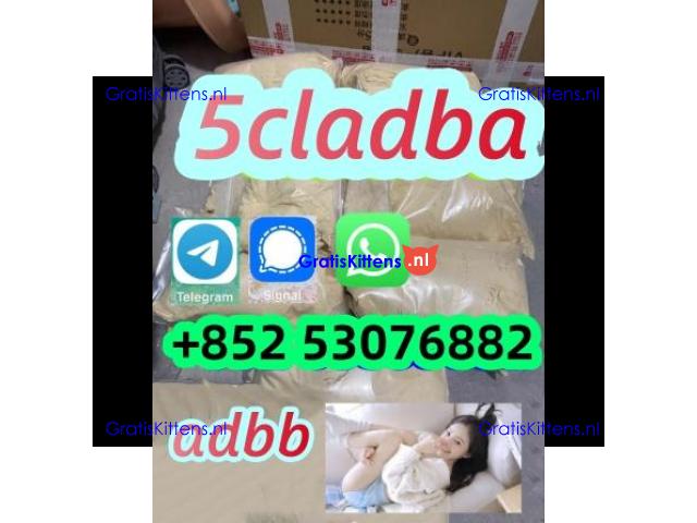 5cl-adba,5cl-adba, 5CL-ADBA 100% secure delivery 4FADBA 5F-MDMA 6cl