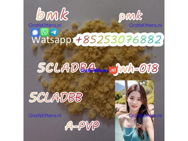 Strong Effect 5CL-ADBB/ADBA 4cladb 4fadba 5cl-mdma 2cl 6cl-adbb sgt