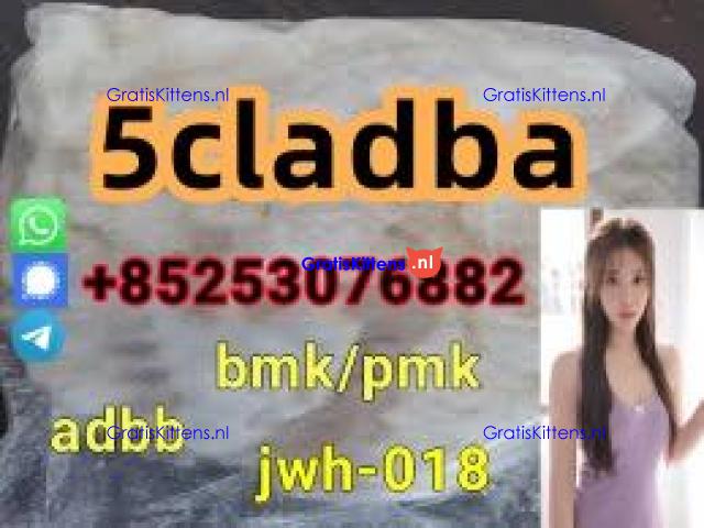 Strong Effect 5CL-ADBB/ADBA 4cladb 4fadba 5cl-mdma 2cl 6cl-adbb sgt