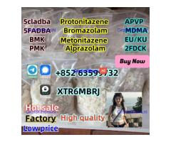cas-119276-01-6-protonitazene