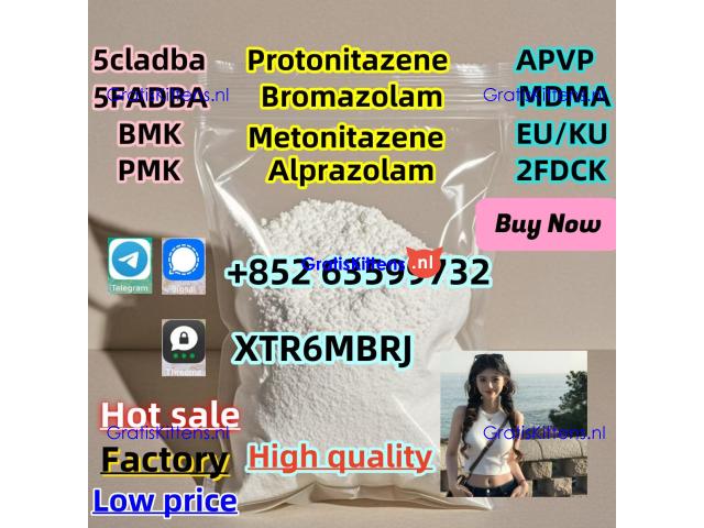 cas-119276-01-6-protonitazene