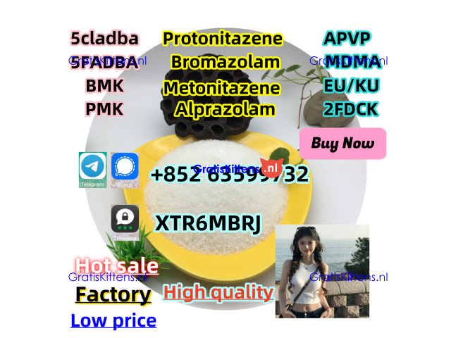 cas-119276-01-6-protonitazene