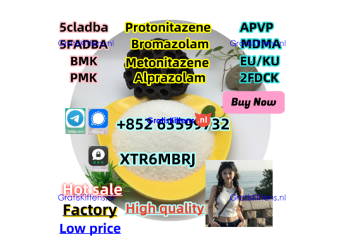 cas-119276-01-6-protonitazene