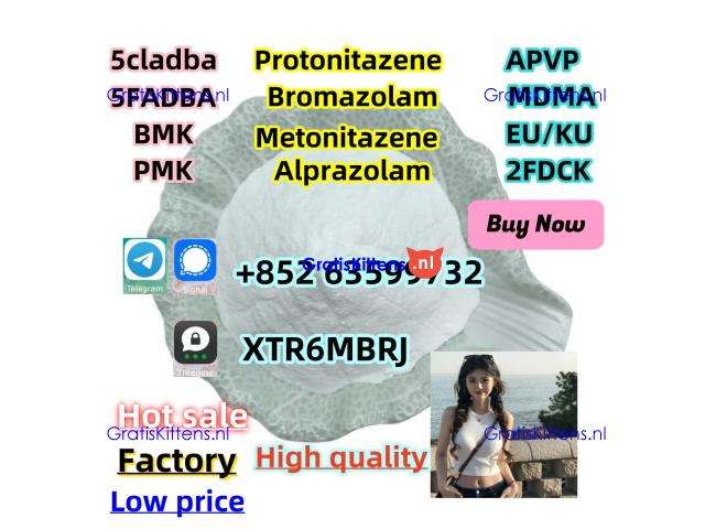 119276-01-6 Protonitazene (hydrochloride) 119276-01-6 Protonitazene (hydrochloride) -