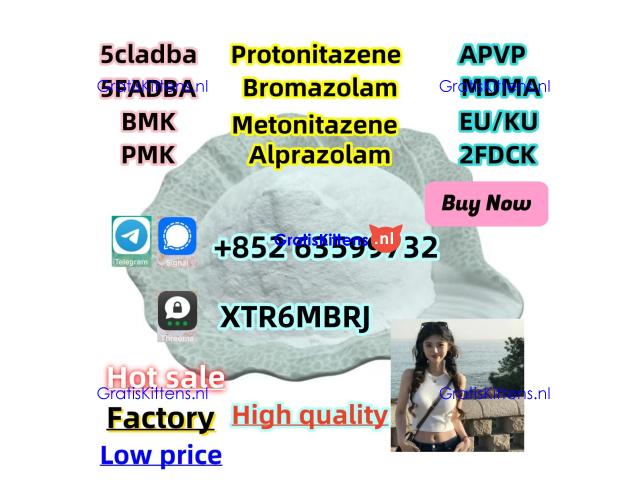 119276-01-6 Protonitazene (hydrochloride) 119276-01-6 Protonitazene (hydrochloride) -
