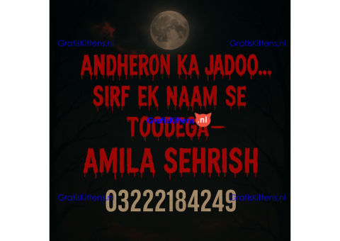 Amila Sehrish – Kala Jadu Specialist & Love Marriage Expert call now 03222184249