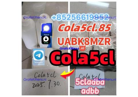 5cladba raw material 5cladba powder  adbb  precursor raw 5F