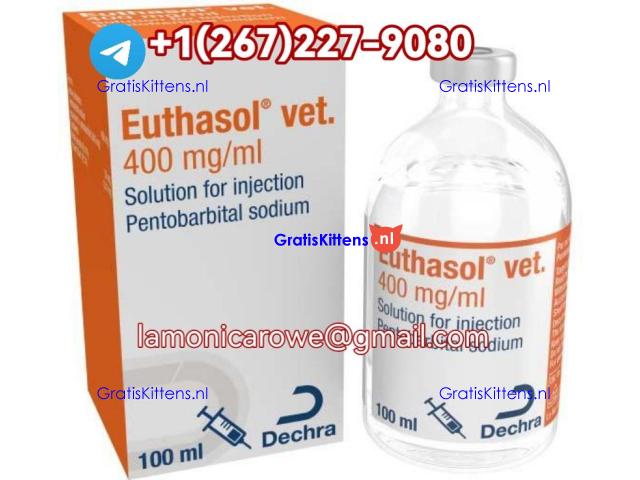 Telrgrm+12672279080.Buy Sodium Pentobarbital Injection In Cologne, Munich Germany