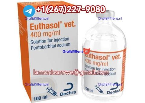 Telrgrm+12672279080.Buy Sodium Pentobarbital Injection In Cologne, Munich Germany