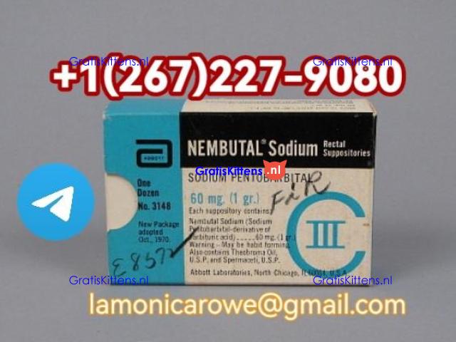 Telrgrm+12672279080.Buy Sodium Pentobarbital Injection In Cologne, Munich Germany