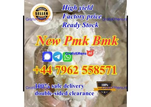 Dutch hot seller new pmk powder with high yield