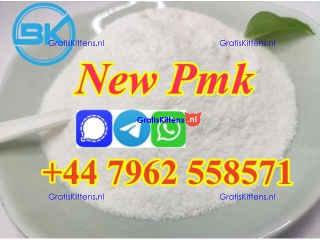 Dutch hot seller new pmk powder with high yield