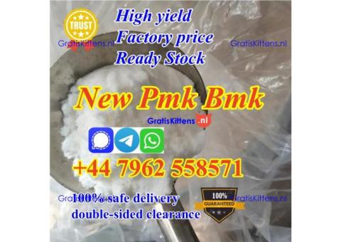 supply new pmk powder bmk powder factory price