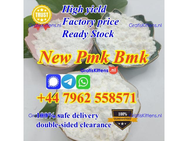 2025 new upgraded pmk powder with high yield free sample testing
