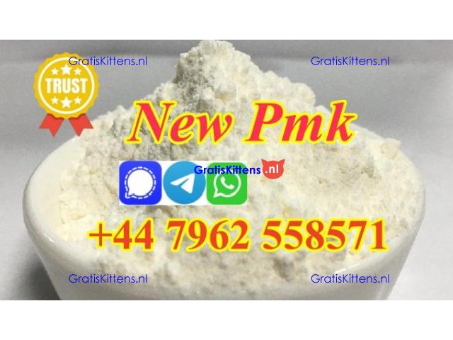 2025 new upgraded pmk powder with high yield free sample testing
