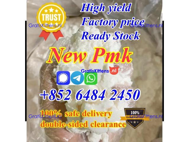 High yield New pmk powder with good reviews wholesale to netherlands
