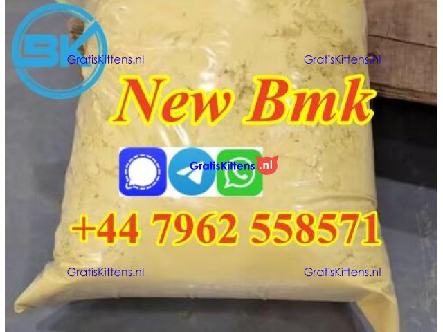 bmk powder bmk oil , cas5449-12-7 BMK Glycidate BMK Glycidic Acid powder