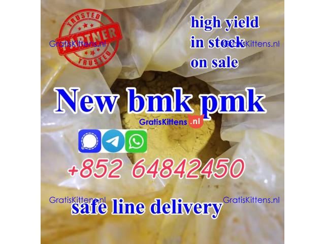 supply BMK Glycidic Acid cas5449-12-7 new yellow bmk powder