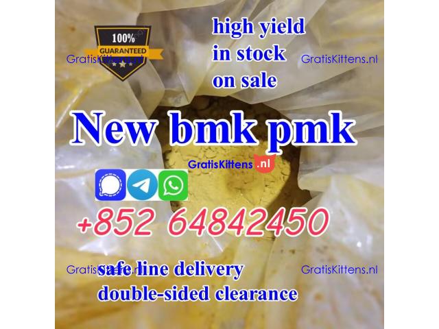 Hot Seller Pharmaceutical Intermediates Pure pmk bmk powder