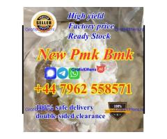 Dutch hot seller new bmk pmk powder with 75% yield free sample testing